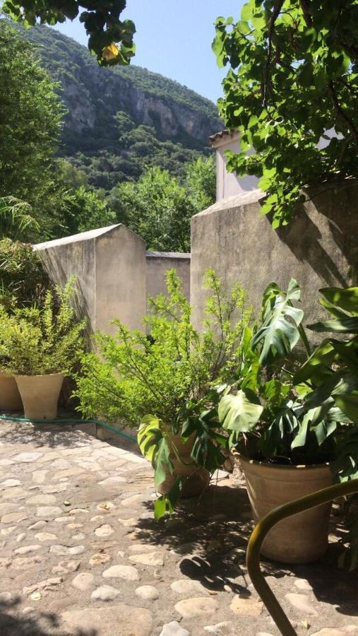 Casa Rural El Vihuelo El Bosque Bagian luar foto