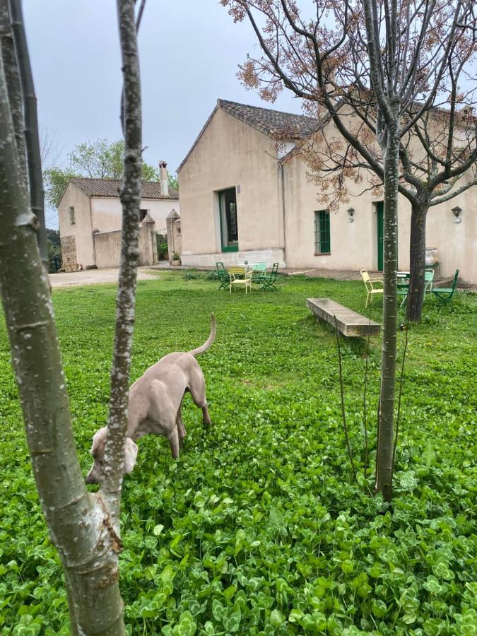 Casa Rural El Vihuelo El Bosque Bagian luar foto