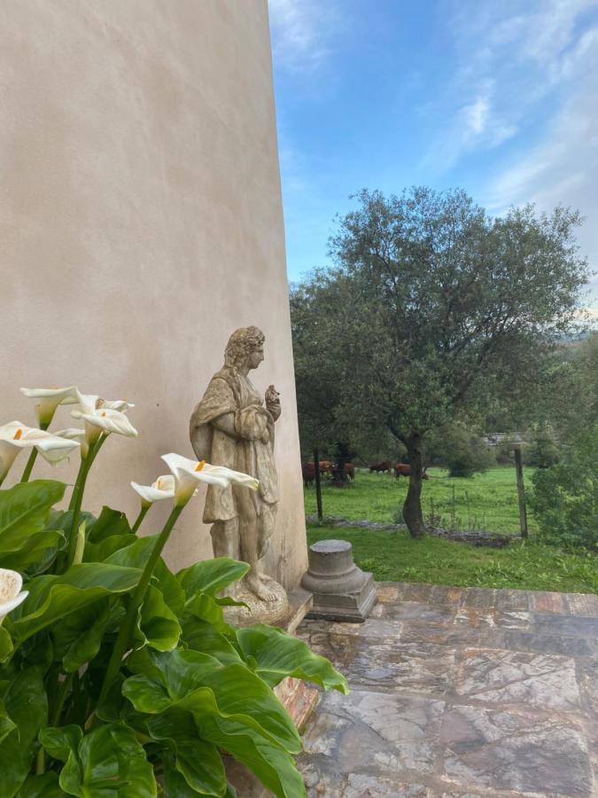 Casa Rural El Vihuelo El Bosque Bagian luar foto