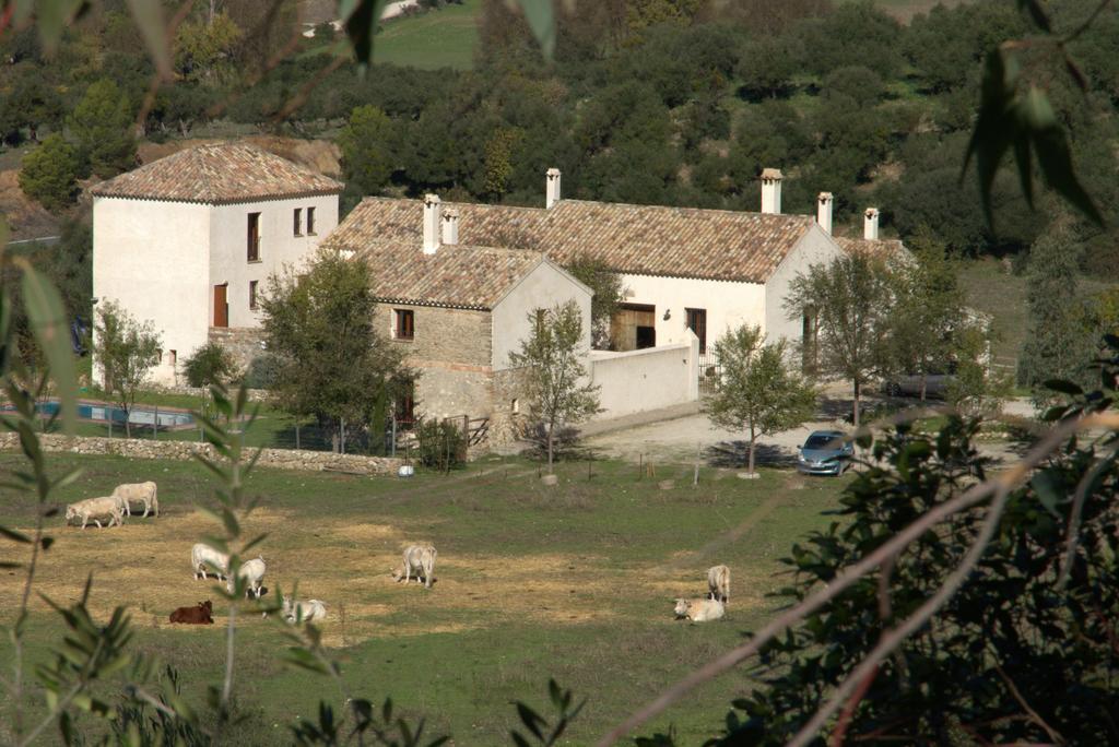 Casa Rural El Vihuelo El Bosque Bagian luar foto