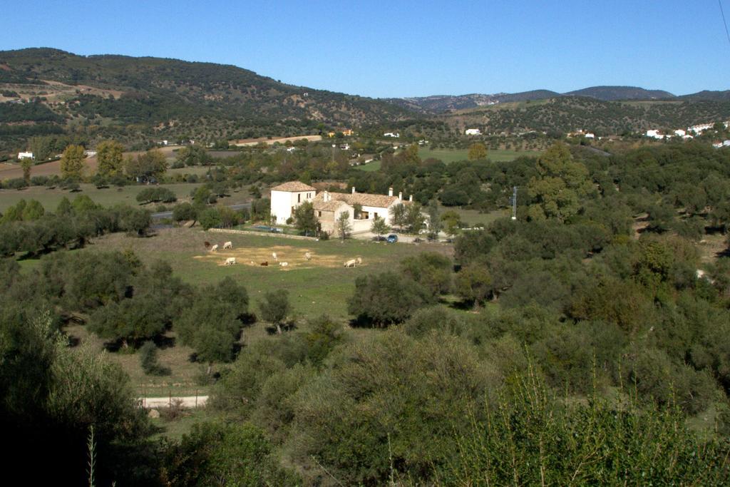 Casa Rural El Vihuelo El Bosque Bagian luar foto